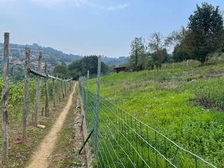 Residential Plot in Oviedo - lg santa eulalia. Parcela edificable lg santa eulalia . oviedo