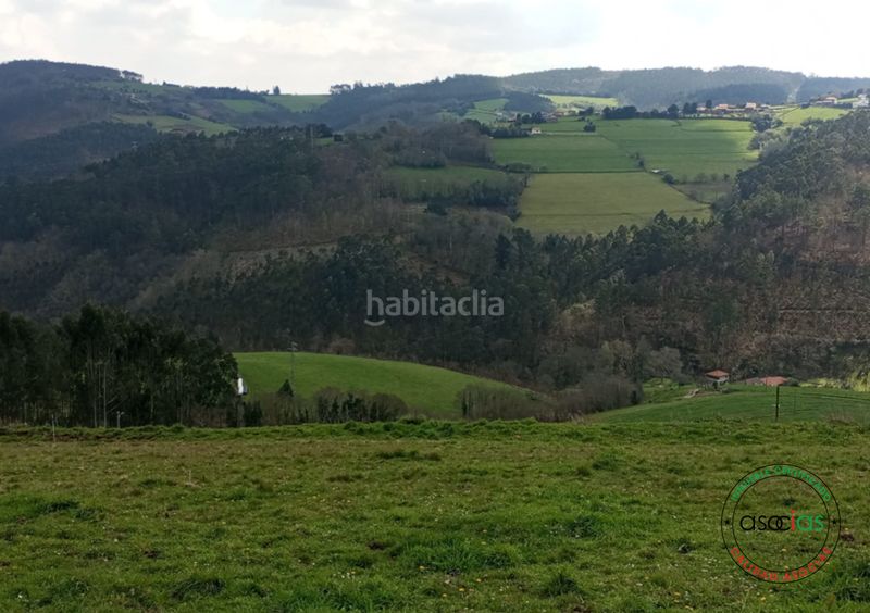Foto 18de2bac-37e1-4281-8787-d6edbab6bae6. Finca rústica en Cudillero - la tabla finca edificable . en Cudillero
