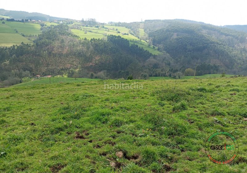 Foto c406492c-18ce-4d61-a1c5-e925b03b1d8c. Finca rústica en Cudillero - la tabla finca edificable . en Cudillero