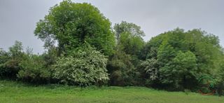 Terreno residencial en Salas - lg bulse. Finca edificable en bulse  salas