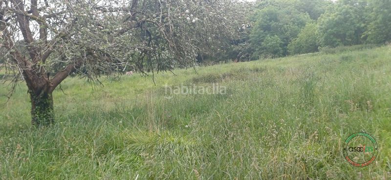 Foto 562791d7-d509-41dd-8a90-267cc522825d. Finca rústica a Salas - lg bulse a Salas