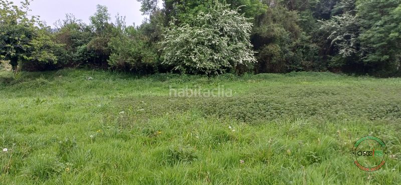 Foto 960c6edf-1cb7-4f89-bb4e-dc75dc89e7a6. Finca rústica a Salas - lg bulse a Salas