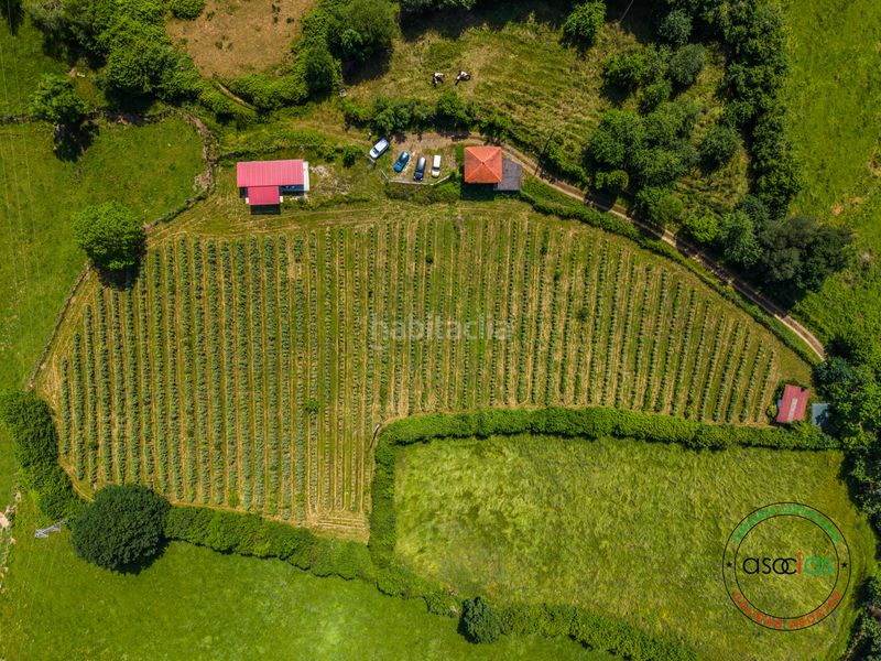 Foto 3a718518-ec62-43c2-96f6-41f6de45c5f5. Finca rústica a coalla a Grado