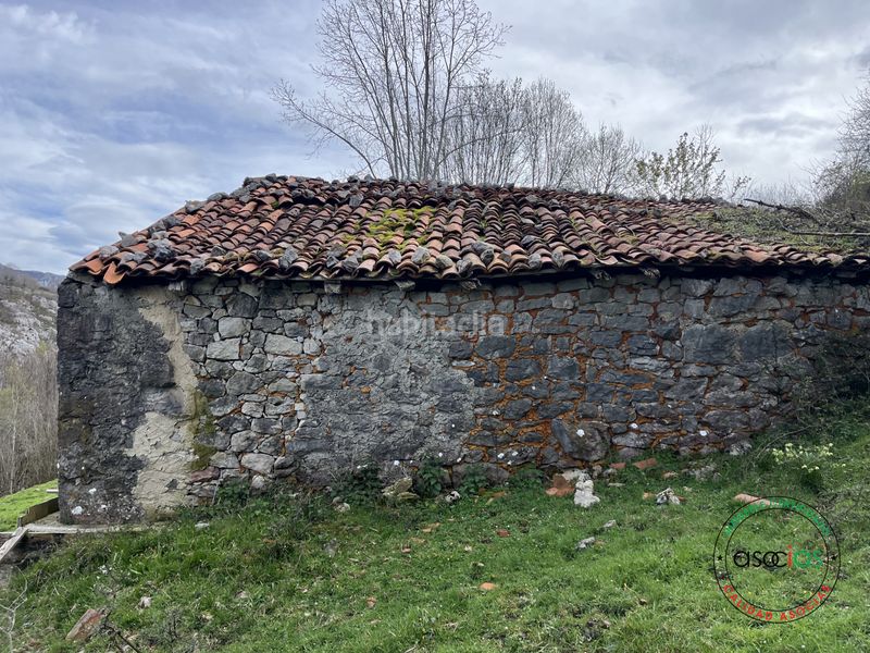 Foto e8d6a35c-f523-4472-b74a-deecc168d144. Finca rústica a Cabrales - berodia a Cabrales