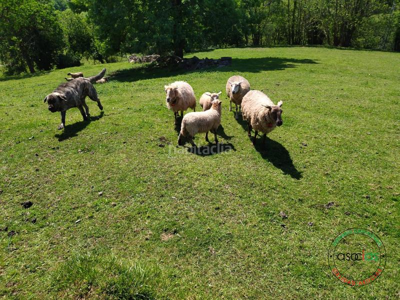 Foto 109e4e2a-15f8-4bdf-8ddd-4bd9f70c6d57. Terreno residenziale in sograndio - lg sograndio bajo in Oviedo