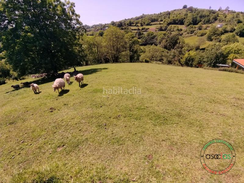 Foto 48dfcdaf-2938-4419-b727-439c9b5d46f6. Terreno residenziale in sograndio - lg sograndio bajo in Oviedo