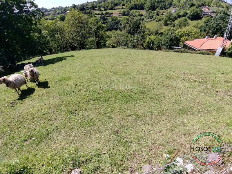 Foto 78049ec5-54f3-4327-bbfe-17c2049f4dc1. Terreno residenziale in sograndio - lg sograndio bajo in Oviedo