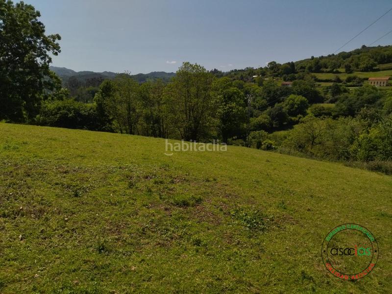 Foto 9d30d0ce-f42d-418a-8018-b2654f1484b3. Terreno residenziale in sograndio - lg sograndio bajo in Oviedo