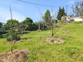 Terreny residencial a Llosa, la - llosa abajo. siero asturias. Finca edificable zona alto la madera siero