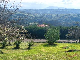 Terreny residencial a Llosa, la - llosa abajo. siero asturias. Finca edificable zona alto la madera siero