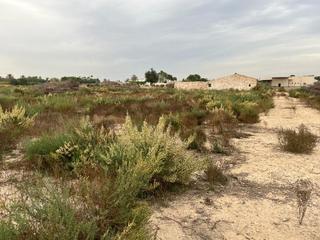 Residential Plot in La Algoda - Matola - Llano de San José. Parcela 9800m con casa vieja en la algoda, cerca de carmelitas.