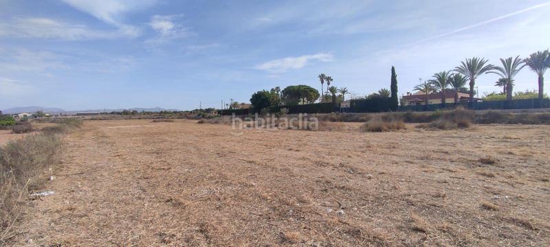 Foto 6cf6b272-a19c-4f7f-af8c-e721c9197612. Terreno residencial parcela en Valverde para construir en Elche / Elx