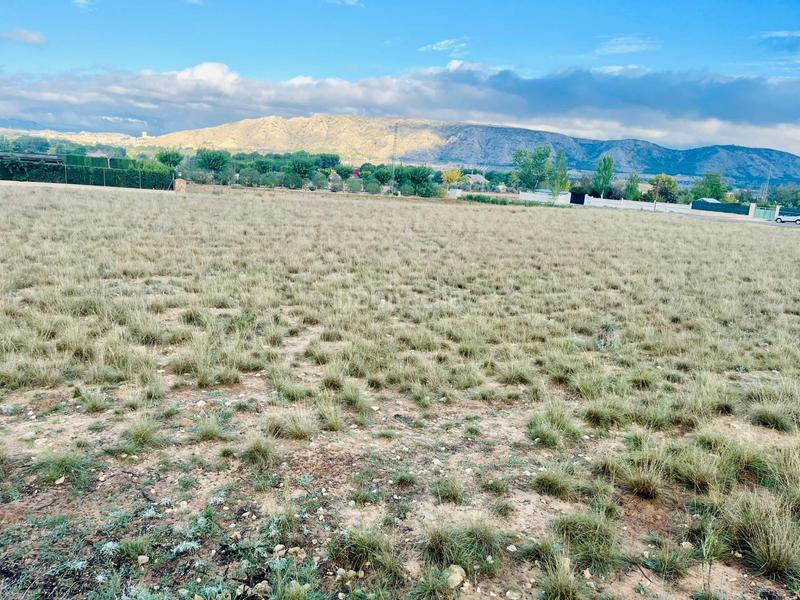 Foto fce03471-48f7-4773-8f99-5e6c1f93db15. Finca rústica a Las Tiesas Villena