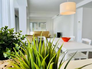 Location Appartement à Centro. Alquiler de piso reformado en el centro de elche, cerca del ceu