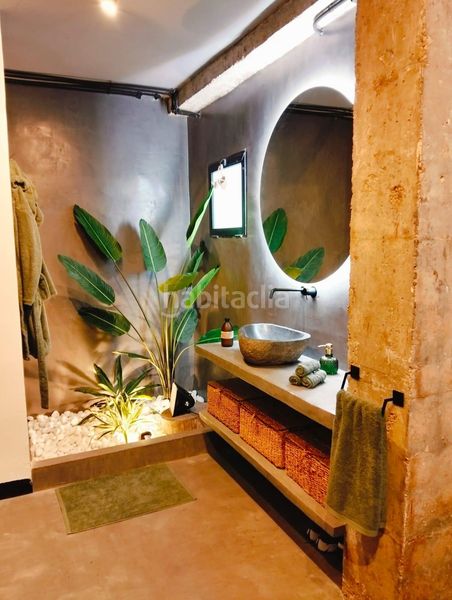 Foto 4148a834-889f-4046-baf0-7e9ae0bddbcd. Pis a Reina Victoria - Miguel Hernández Elche / Elx