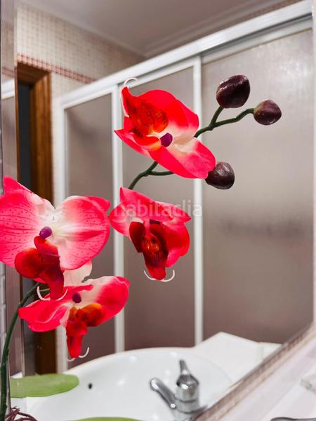 Foto 689f5454-8a71-45e1-a53a-0f8cddedbb31. Pis amb calefacció a Centro Elche / Elx