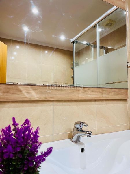 Foto f9203088-1a1b-4641-b566-903ebf0dae01. Pis a Centro Elche / Elx