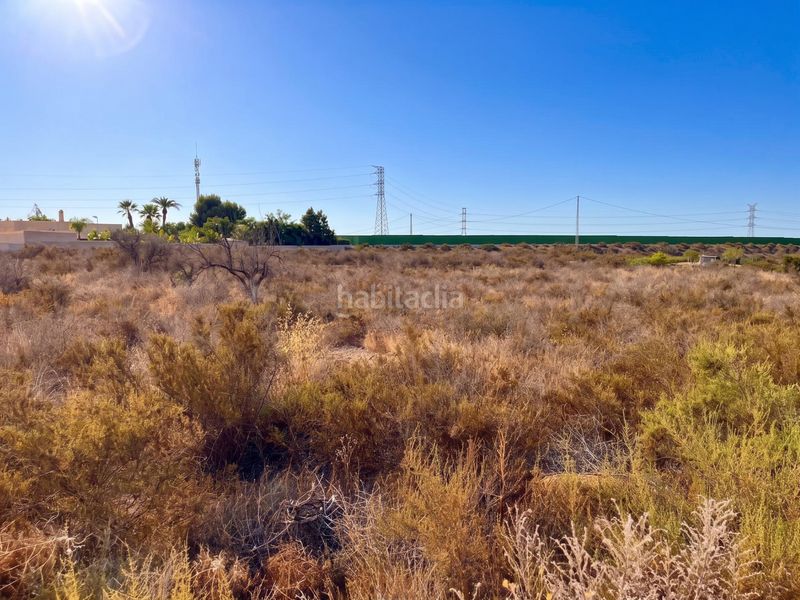Foto fc3a8dc8-eab4-42c2-9b11-86120b15a02b. Finca rústica a partida peña aguilas 3030 a Peña de las Águilas Elche / Elx