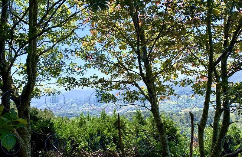 Foto 4550062c-70c8-4c8b-87e8-472c89db3912. Masia amb xemeneia calefacció aparcament a Orio