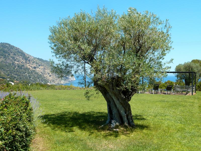 Foto ed512ba9-4a9a-43b1-a6aa-70d98775ac0c. Miete reihenhaus mit parking pool in Fornells-Aiguablava Begur