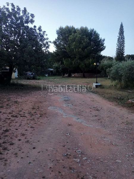Foto afe6bf44-f750-4186-97fc-c79e1b051566. Chalet in Centro Bétera