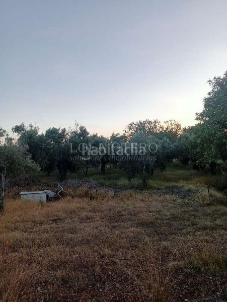 Foto 58d84e5e-99a4-4ecb-8379-c12a76ddcd72. Xalet a Centro Bétera