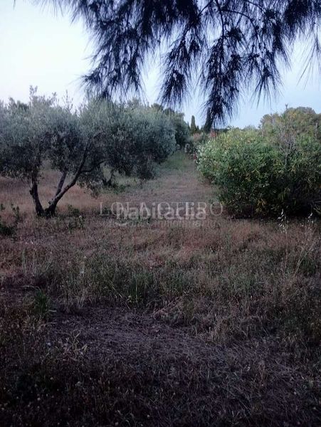 Foto c07af4ba-2280-47fc-b443-f3f28274385a. Xalet a Centro Bétera