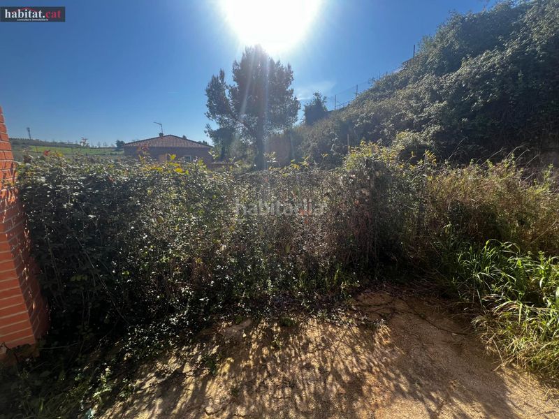 Foto b87d9dac-2a56-4d5d-82c9-081e9346aea5. Casa amb aparcament a Piera