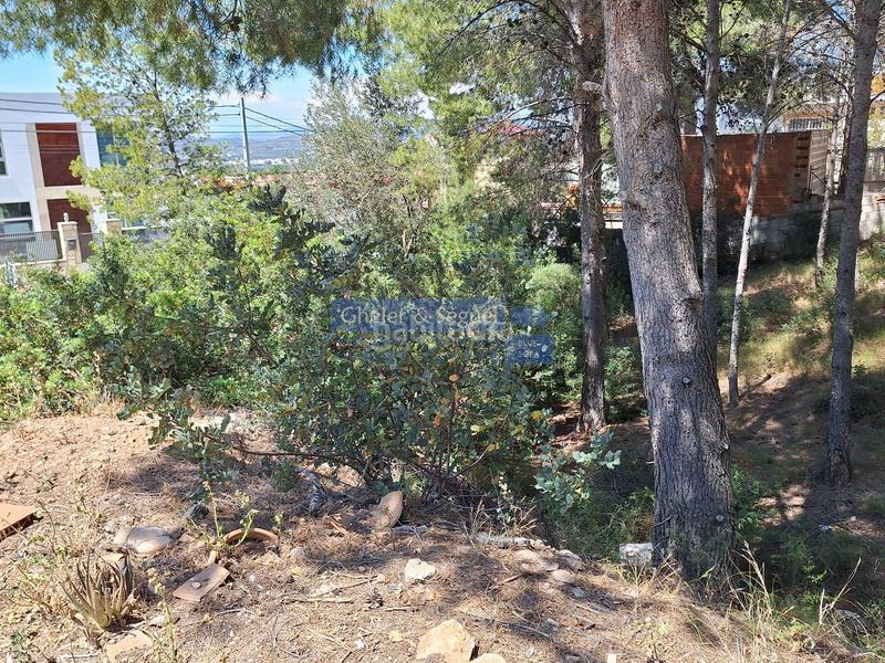 Foto 362955f0-59c7-4788-a9d6-ee83c9fdcd7f. Terreny residencial a Gilet