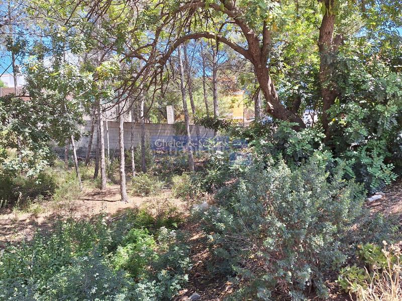 Foto 50b593b3-2055-49f9-9d43-0d03eb6e365d. Terreny residencial a Gilet