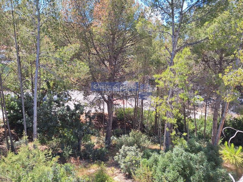 Foto 5b35eeee-f294-483b-adac-818d6b98d12e. Terreny residencial a Gilet