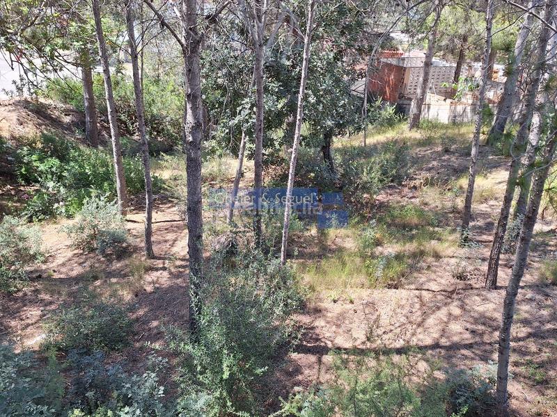 Foto 6aef35b9-0b4c-4c6e-b988-c889bf14d29f. Terreny residencial a Gilet