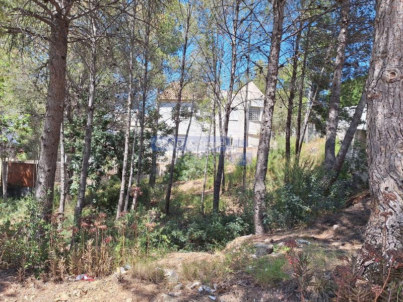 Foto d8ef090b-4f2c-421a-8ea7-52b050f526fc. Terreny residencial a Gilet