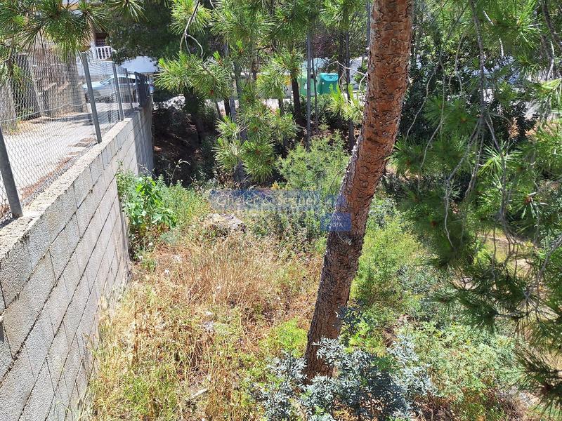 Foto d9b240d4-d115-405b-83f5-426cbbc4ff3c. Terreny residencial a Gilet