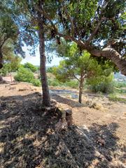 Terreno residencial en Gilet. Parcela rústica en gilet