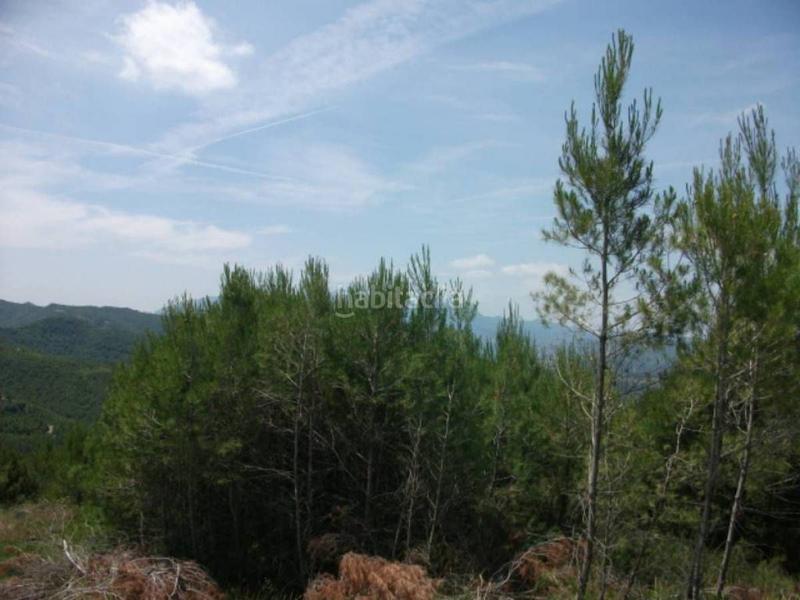 Foto 0deaedfb-3d28-4827-9d38-c0c0274abd89. Residential plot in Pont de Vilomara i Rocafort (El)