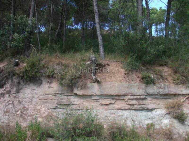 Foto 137f0298-76ae-463b-b413-ec2f9e093b4b. Terrain résidentiel dans Sant Fruitós de Bages