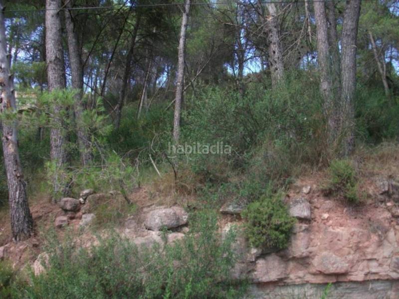Foto e2043760-fdf7-42ac-ad8f-a12b58a5545c. Terrain résidentiel dans Sant Fruitós de Bages