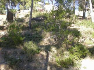 Terreny residencial a Castellnou de Bages. Parcela en venta