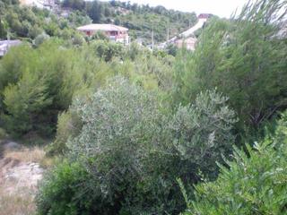 Terreny residencial a Pont de Vilomara i Rocafort (El). Solar en venta