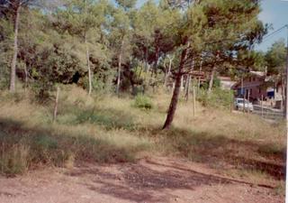 Terreny residencial a Castellnou de Bages. Solar en venta