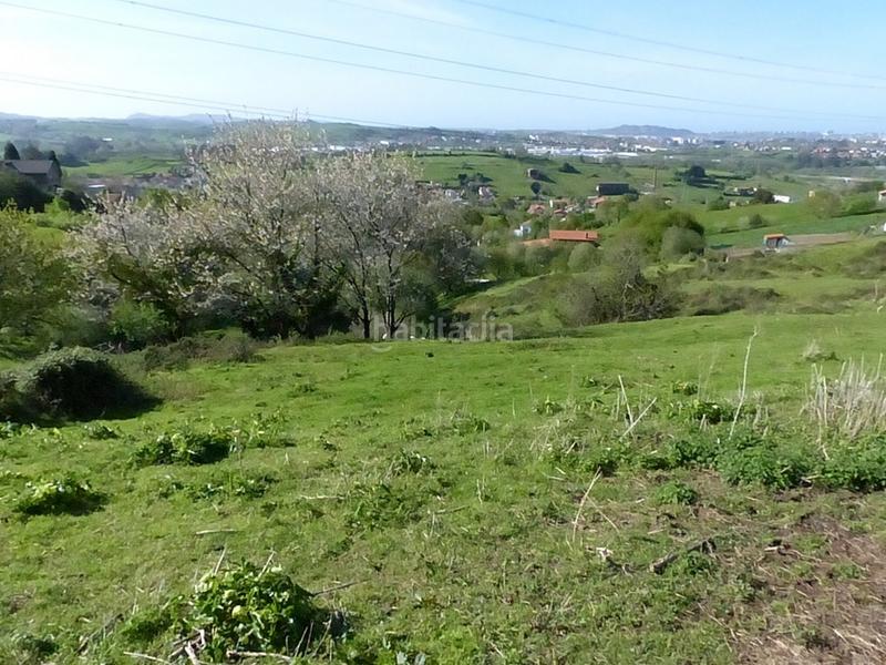 Foto 774e29e6-28a3-4f91-85e5-455efd0e2555. Terreno residencial en barrio cotera 167 terreno en liaño en Villaescusa