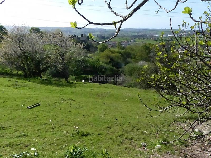 Foto ec785654-ce45-4c40-bf27-43cbcbb29f25. Terreno residencial en barrio cotera 167 terreno en liaño en Villaescusa