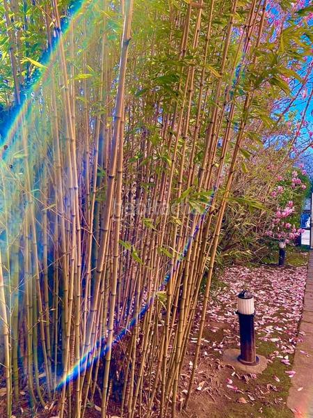 Foto 2d7f35ab-e1cf-4d7f-a632-d040fa988607. Chalet avec chauffage parking dans Cerezo - Aspla - Torres Torrelavega