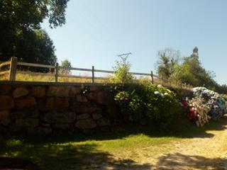 Masia  Diseminado reocin