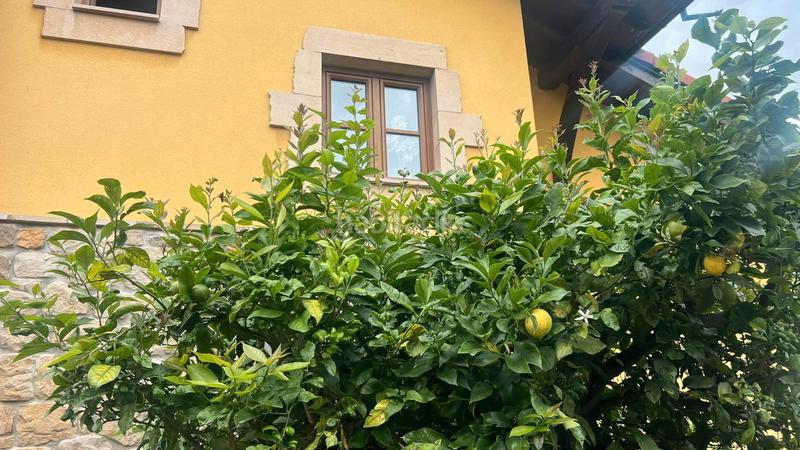 Foto 6a026cf6-c16f-4519-8a63-7942c8d45df8. Chalet impecable chalet individual con terreno en la zona cantabria en Suances