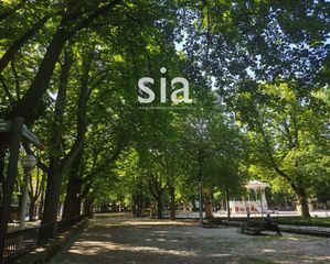 Pis  Ramon y cajal. Exclusiva sia vende piso en el centro