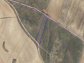 Terreny residencial a Tórtola de Henares. Urbas guadahermosa, s.a. finca 2960