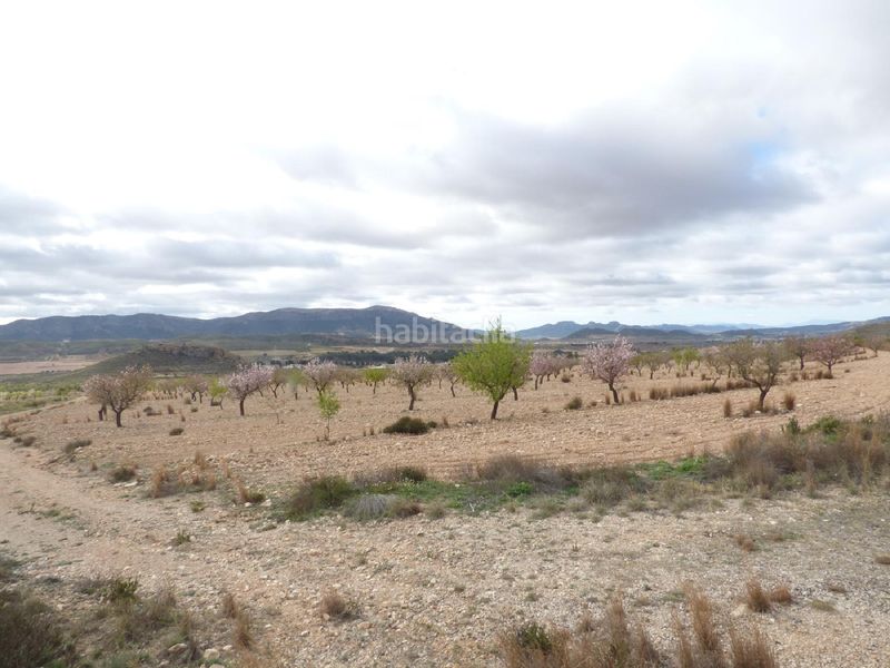 Foto 07fc0f82-48e6-4017-8846-3119dda22e2e. Finca rústica a Jumilla