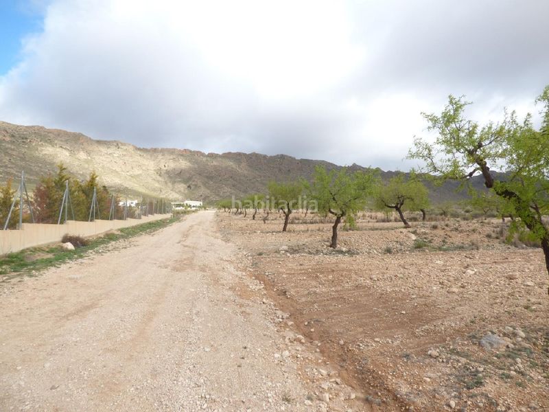 Foto 326b552e-d47b-41ca-9df9-37d08a14ac72. Finca rústica a Jumilla